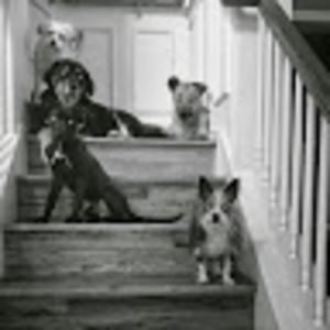 Meet your Posher, Misty